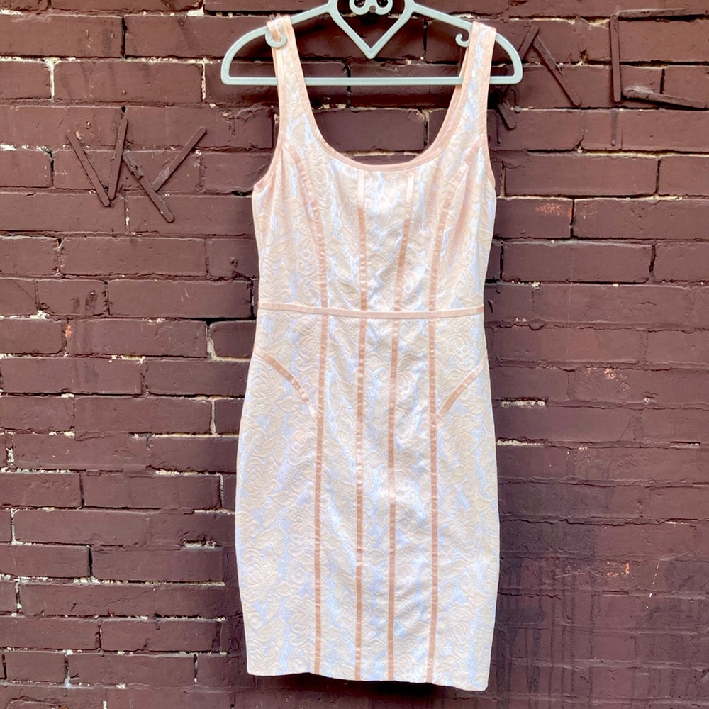 Cach’e Light pink Embroidered Sleeveless Dress A-Line Full back Zipper